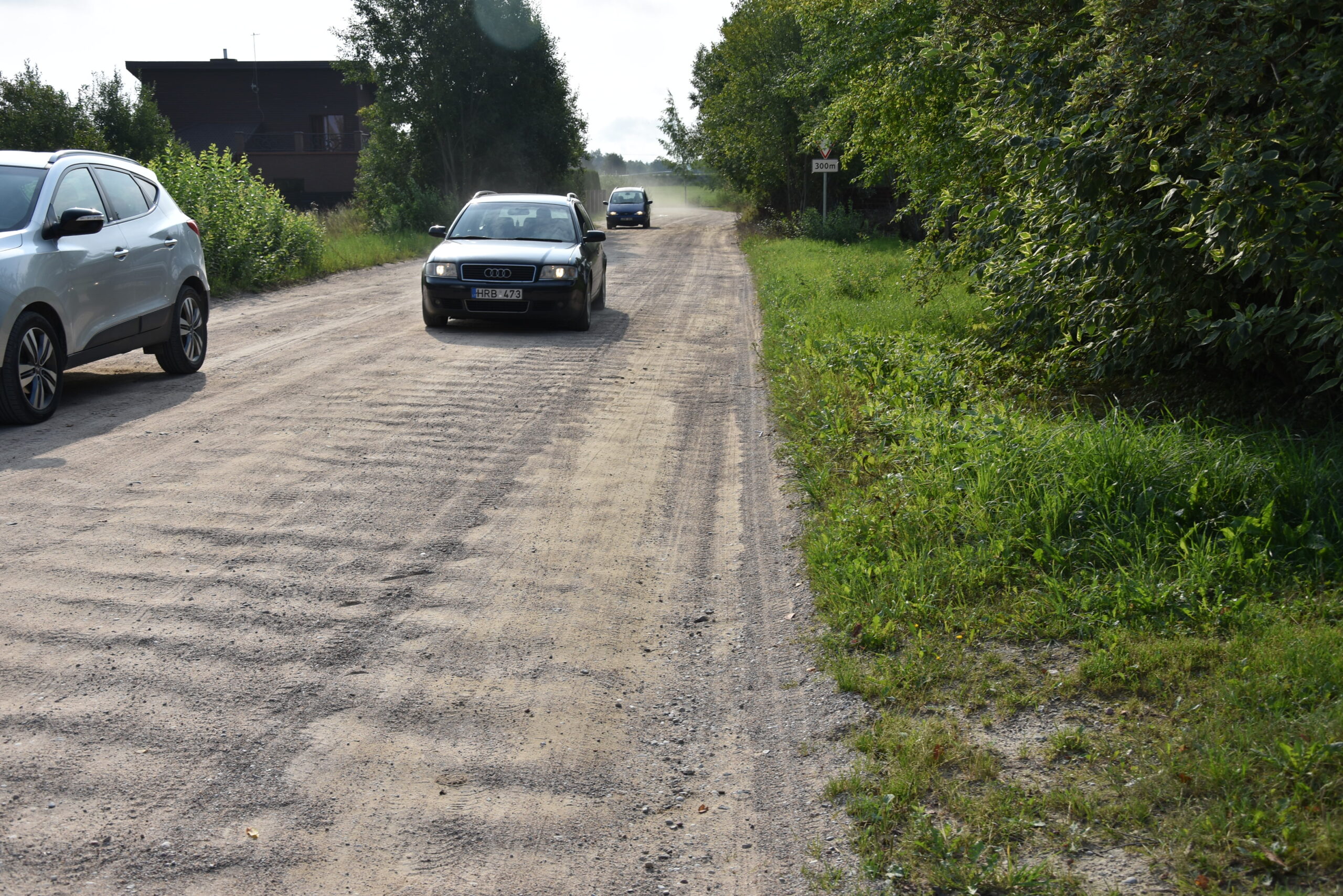 „Kauno šilas“ prašo koreguoti prioritetinių kelių sąrašą