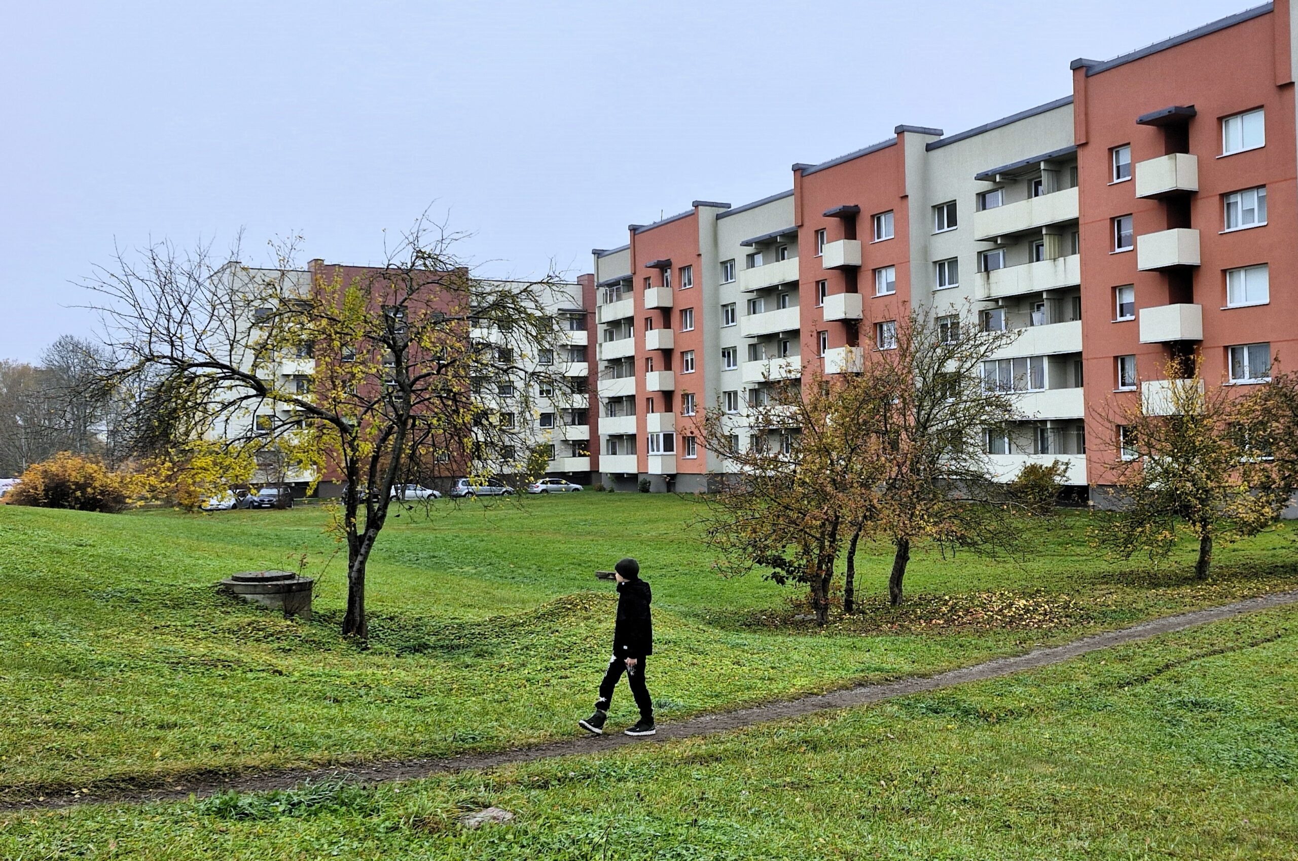 Miesto mišką žada pradėti sodinti dar šiemet
