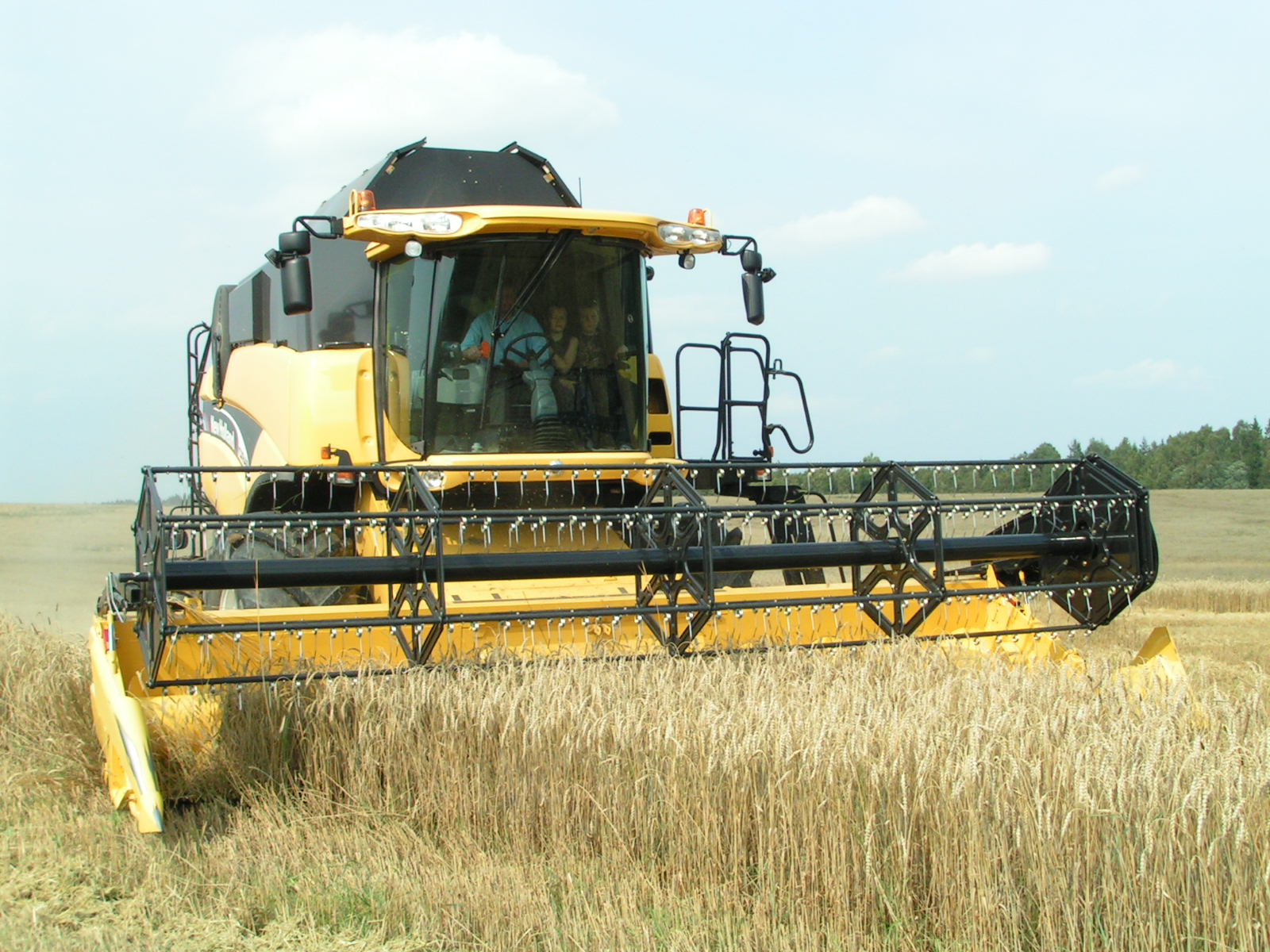 Šių metų derlius – gausesnis, tačiau prastesnis