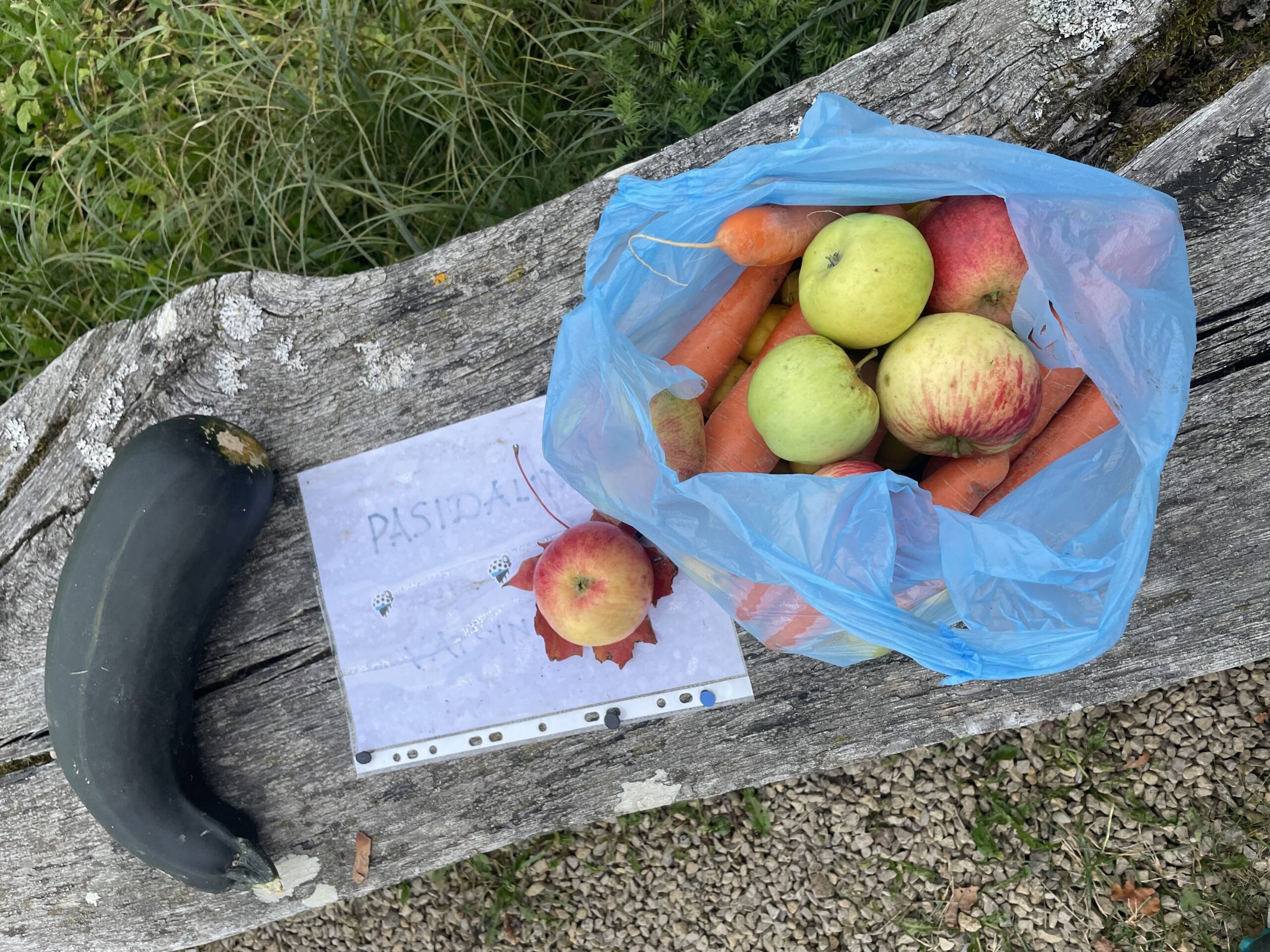 Kas tas geradaris? (II dalis)