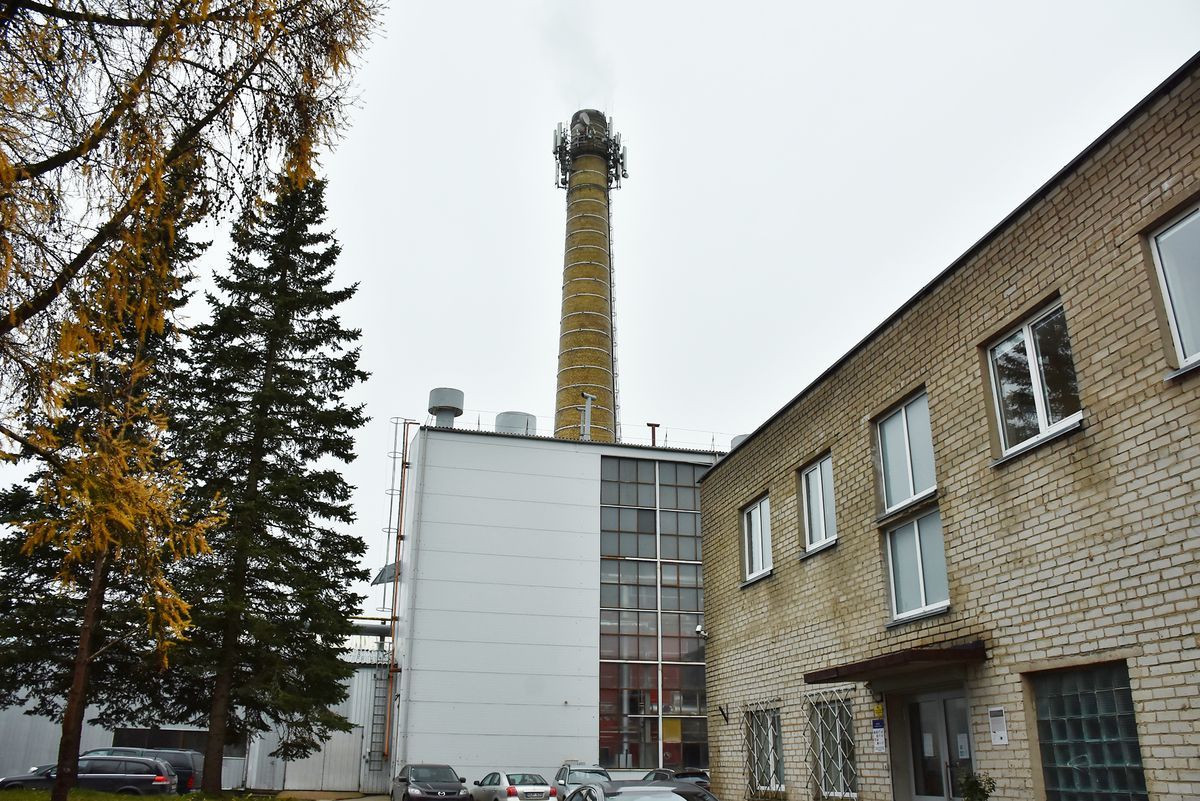 Net­va­rus kai­my­nų ku­ras Plun­gės ši­lu­mos tink­lams kai­na­vo apie 300 000 eu­rų