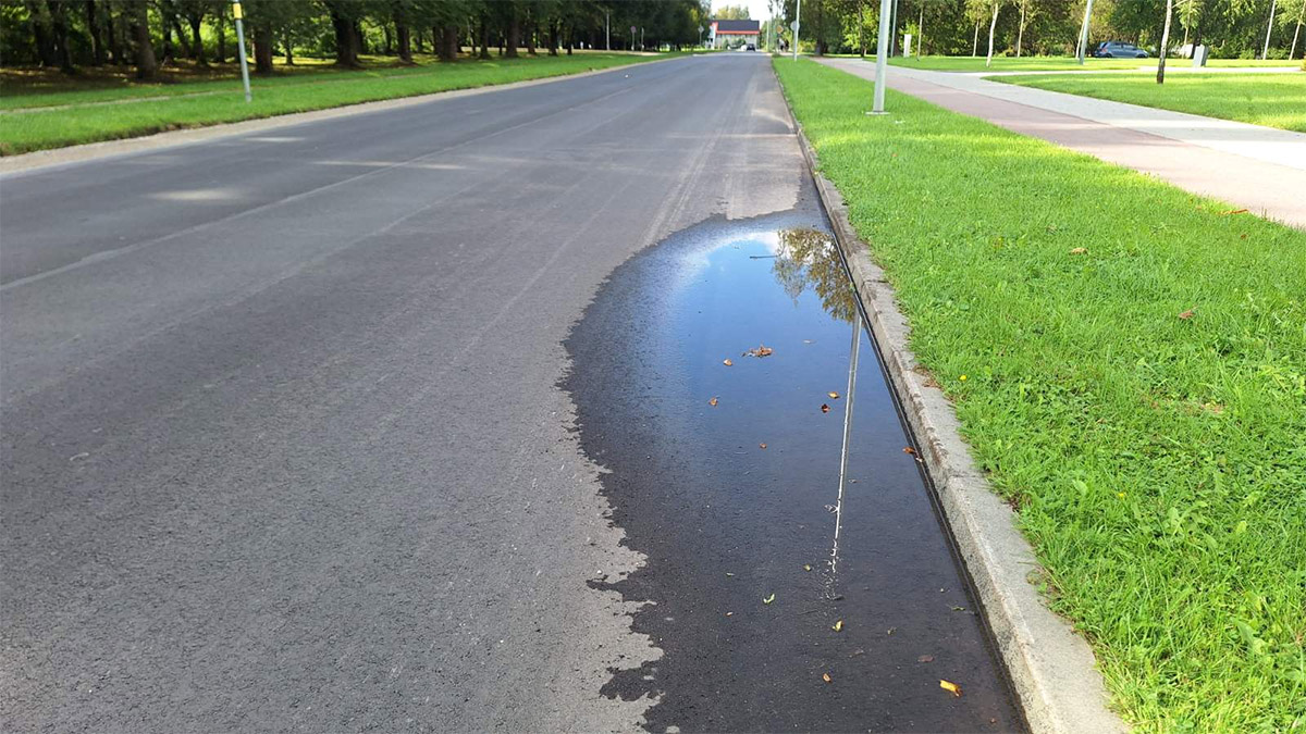 Prog­no­zė pa­si­tvir­ti­no – po di­des­nio lie­taus Men­de­no gat­vė­je telk­šo ba­los