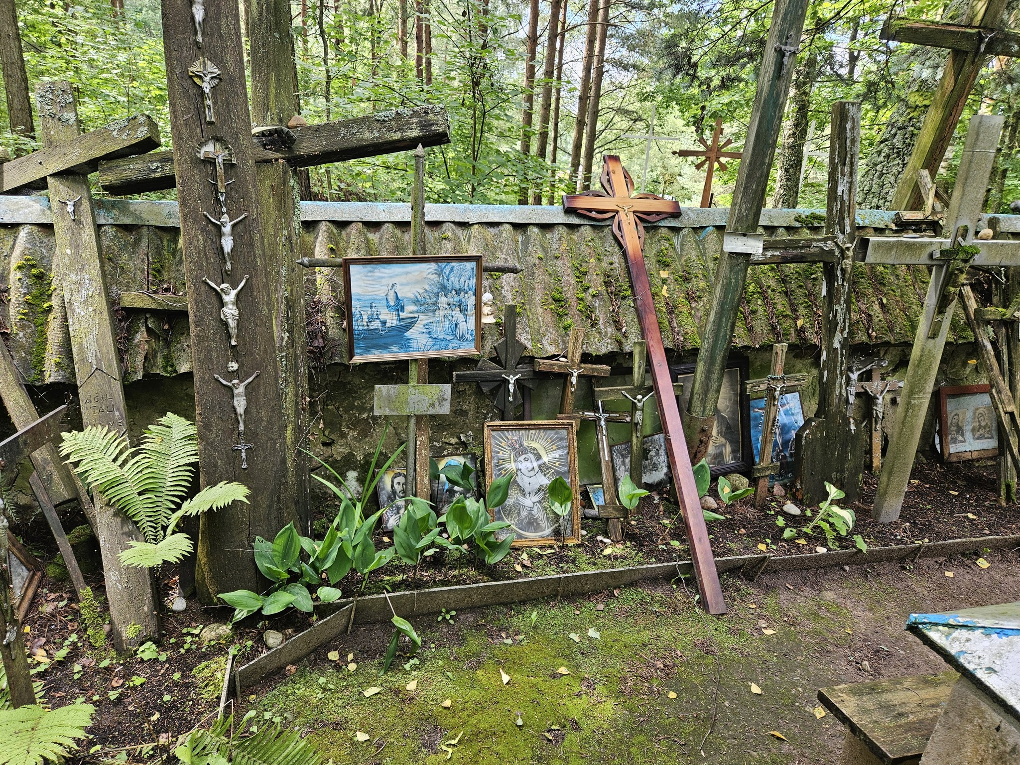Kryžiai – žmonių ašaros ir maldos