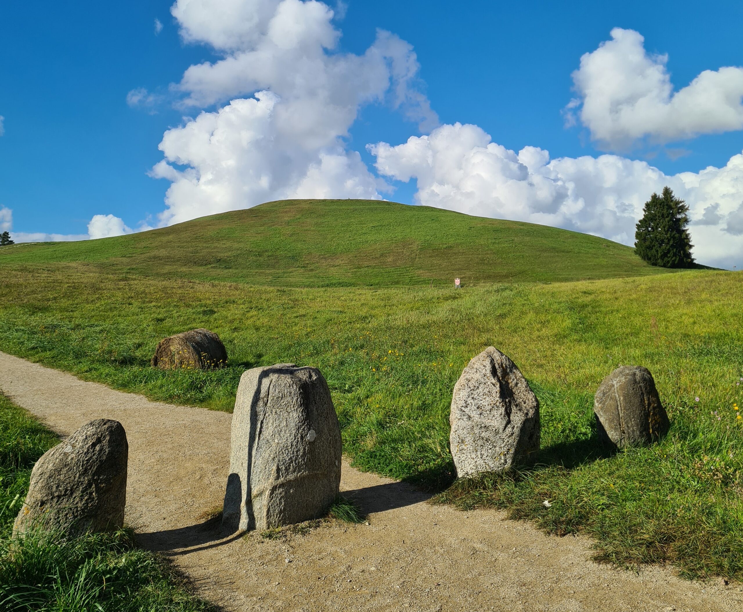 Sodyba greta Šatrijos: paveldo atkūrimas ar žaizda draustinyje?