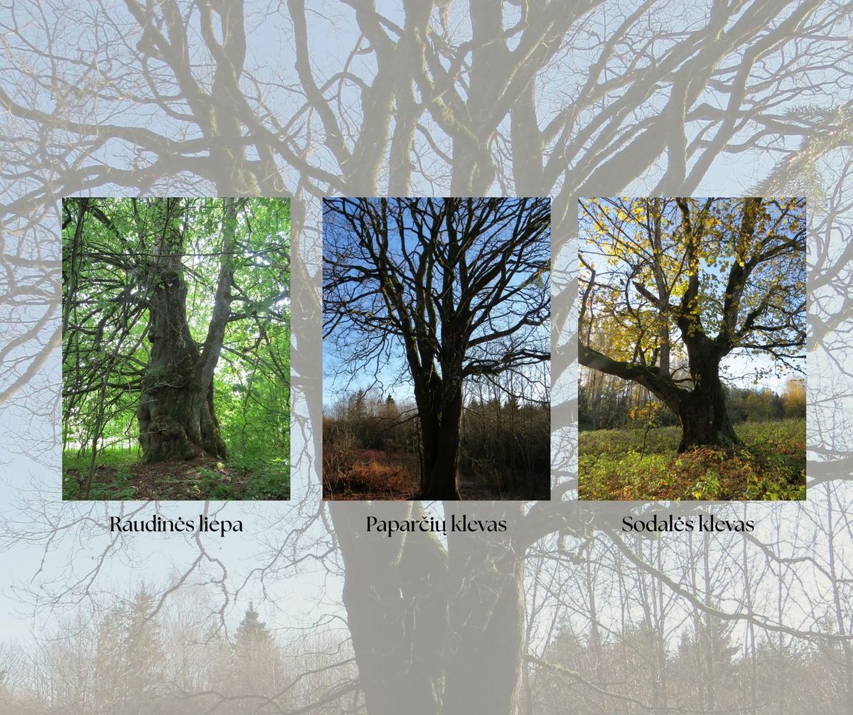 Nauji gamtos paveldo objektai Žemaitijos nacionaliniame parke