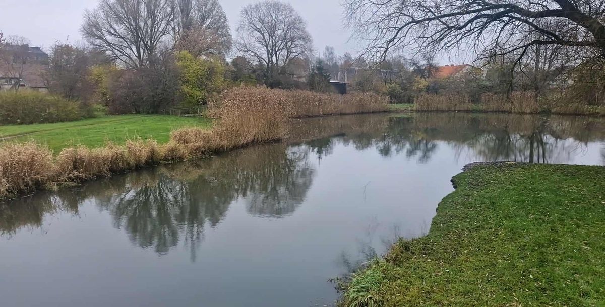 Palankės tvenkinyje užfiksuotos dėmės