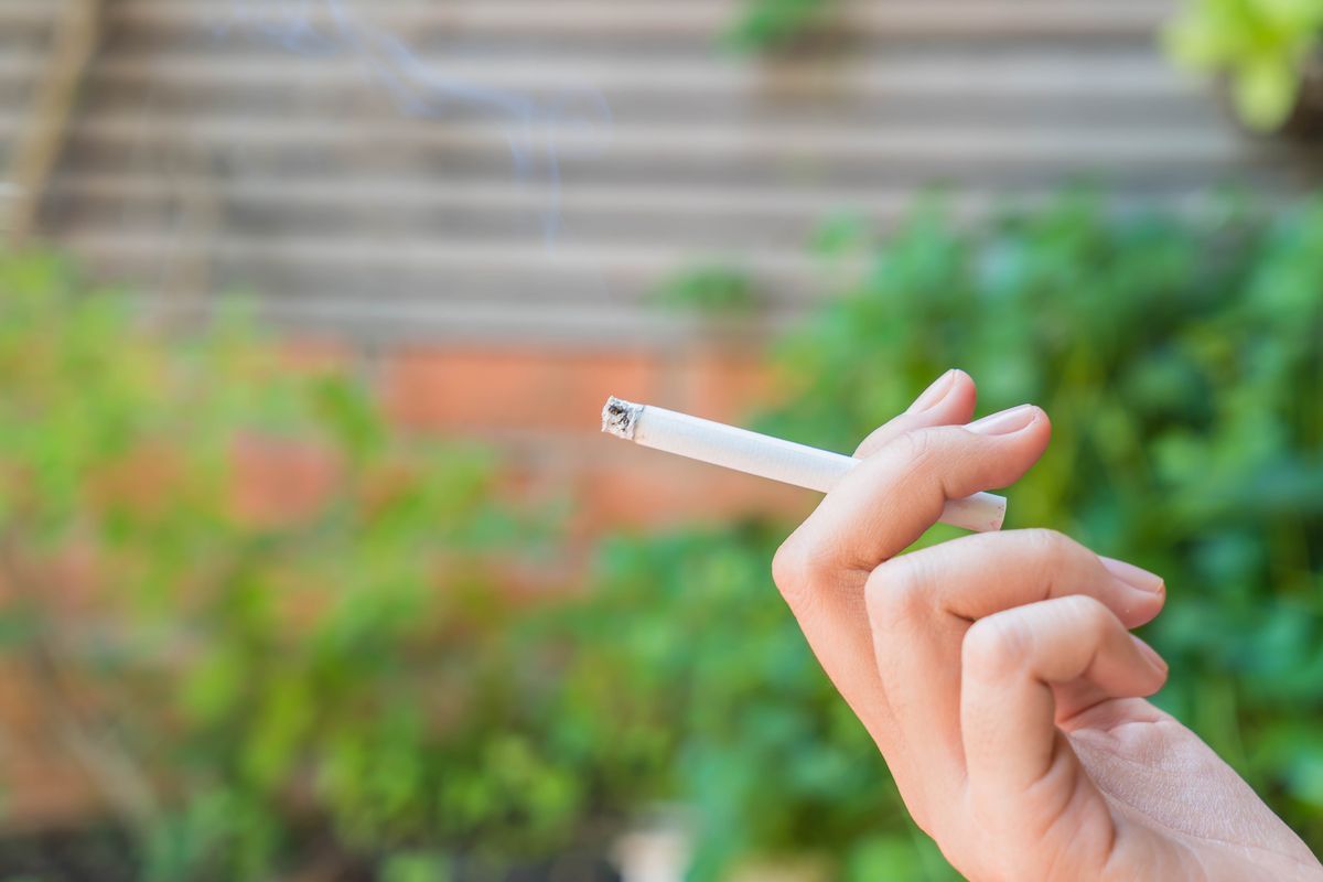 Plungė pirmauja pagal surūkomų kontrabandinių cigarečių kiekį