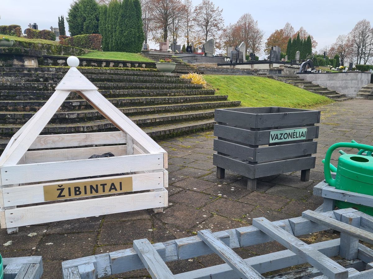 Tva­ru­mo idė­ja – daik­ta­dė­žės ži­bin­tams ir va­zo­nė­liams