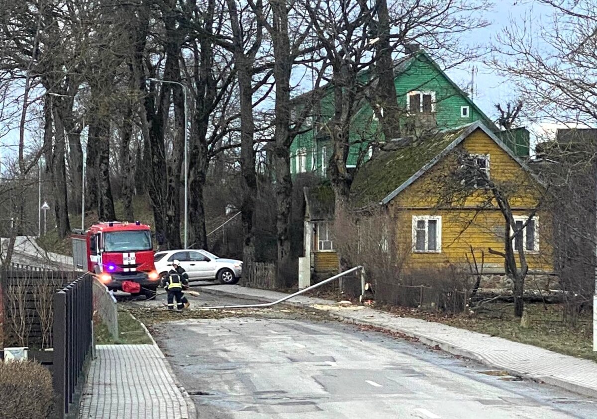 Vėtra vartė medžius ir elektros stulpus