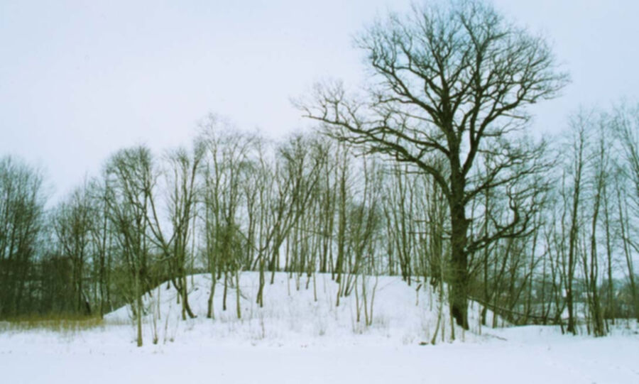 Dėl Pabrėžos pilalės – nauja strategija