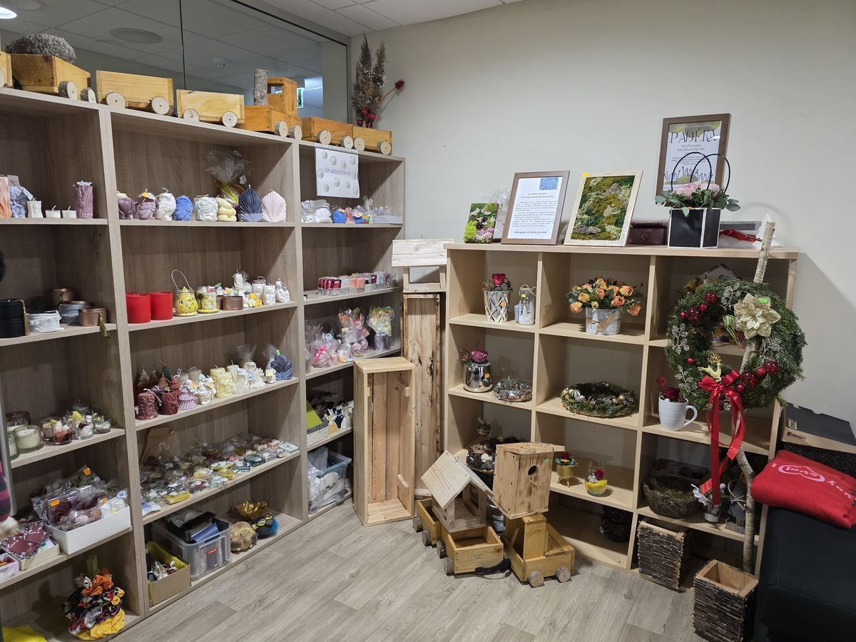 Socialinių dirbtuvių lankytojų dovana miestui