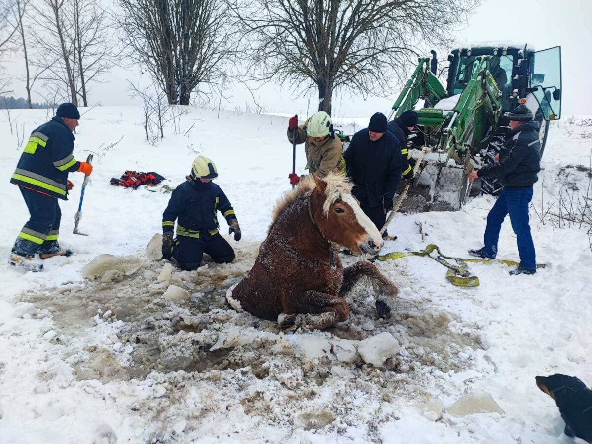 Neeilinė gelbėjimo operacija Keturakiuose