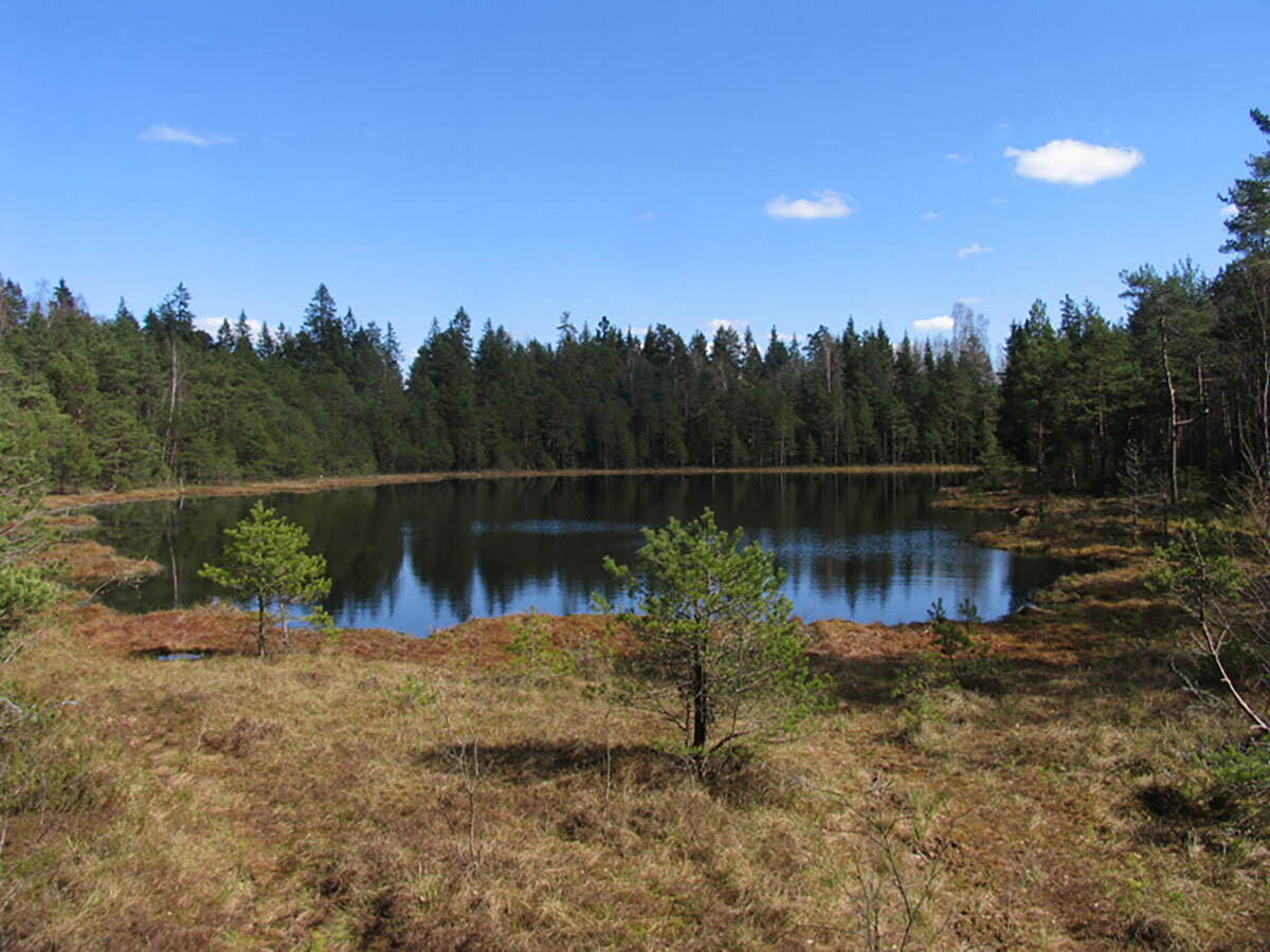 Pelkių glūdumoje – mažas ir legendomis apipintas Piktežeris