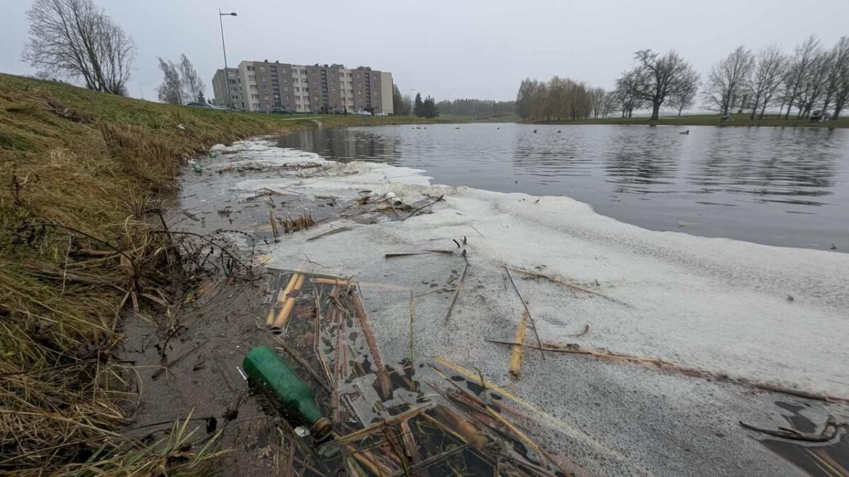 Masčio ežeras gražus… tik nuotraukose