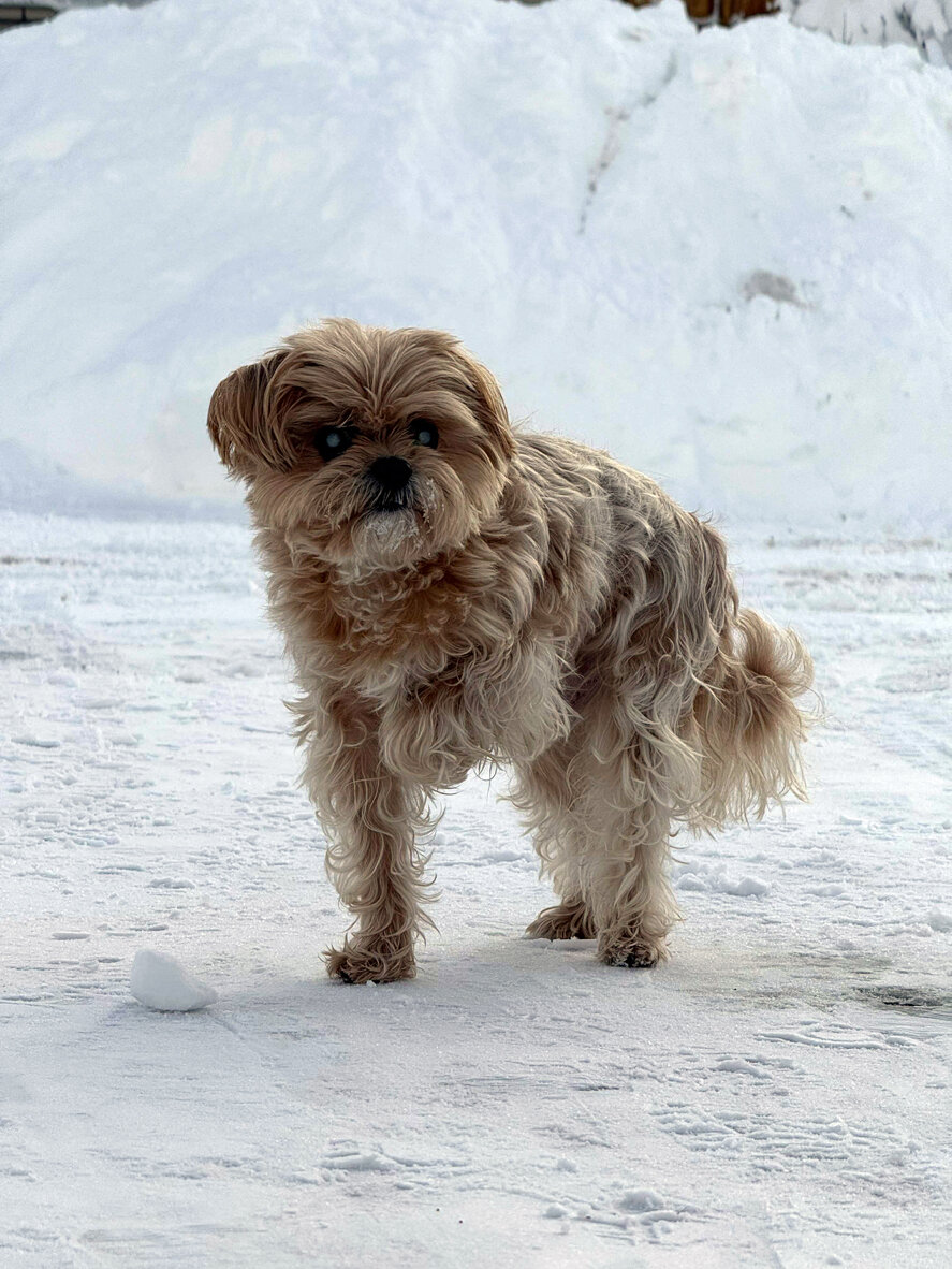 Užfiksuota žemiausia oro temperatūra per dvejus metus