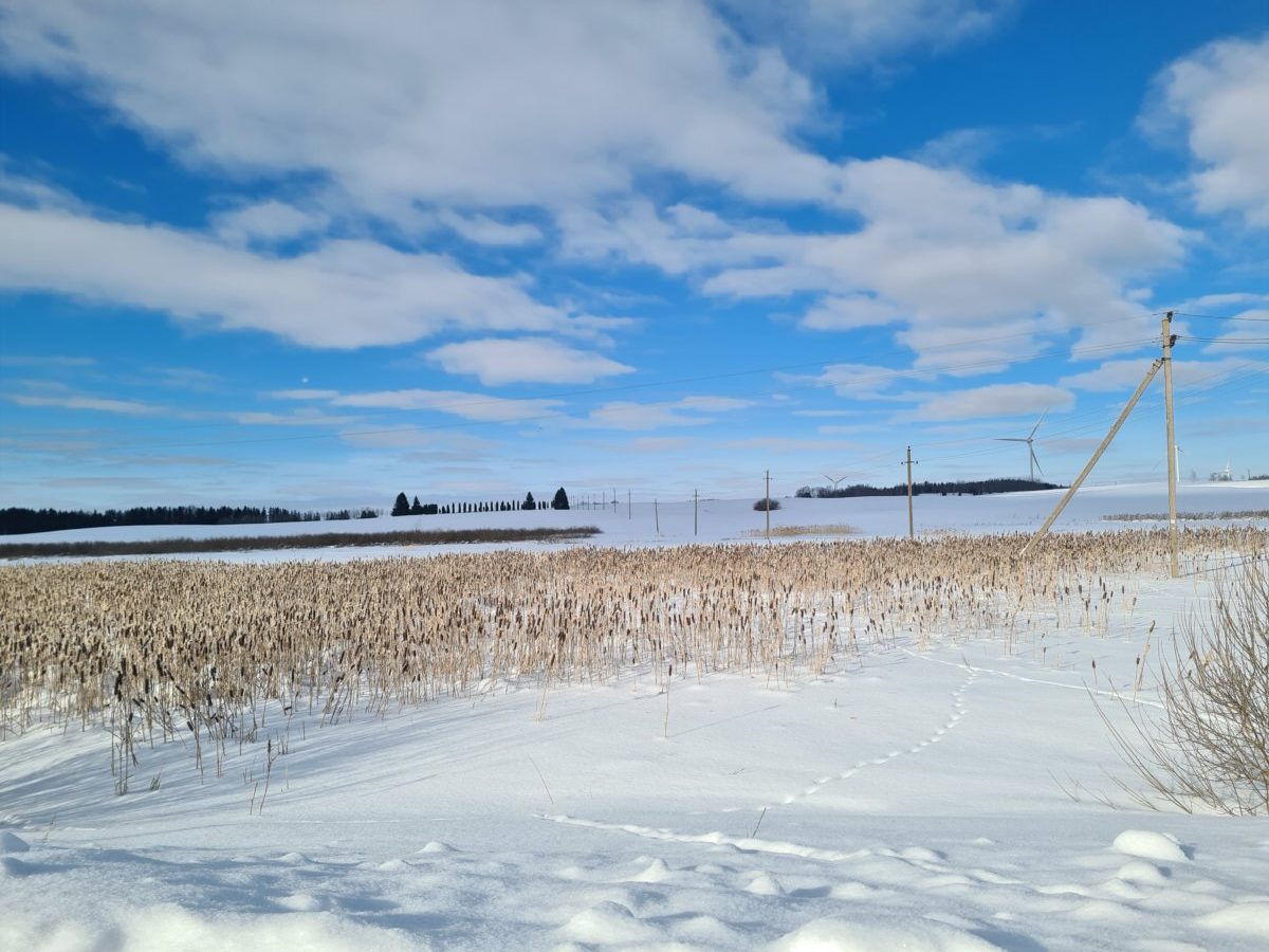 Degaičiai skęsta: kada bus imtasi spręsti dešimtmetį besitęsiančią problemą?
