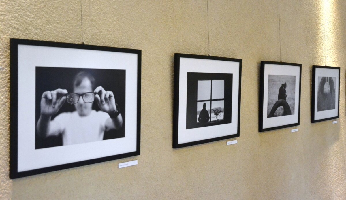 Nematoma Nijolės Jankuvienės fotografijos pusė