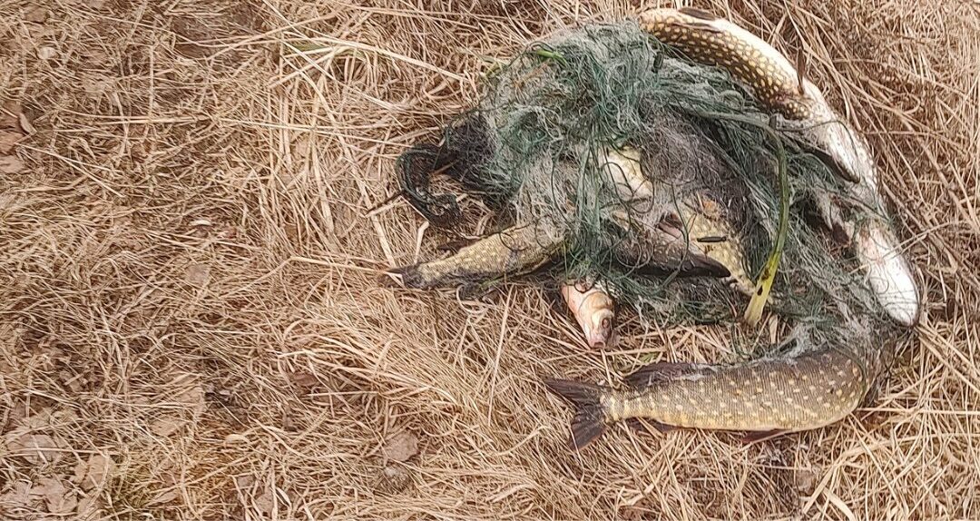 Už neteisėtą žvejybą pirmą kartą paimtas automobilis