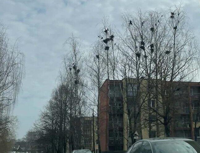 Gy­ven­to­jų ko­va su kai­my­nys­tė­je įsi­kū­ru­sio­mis var­no­mis