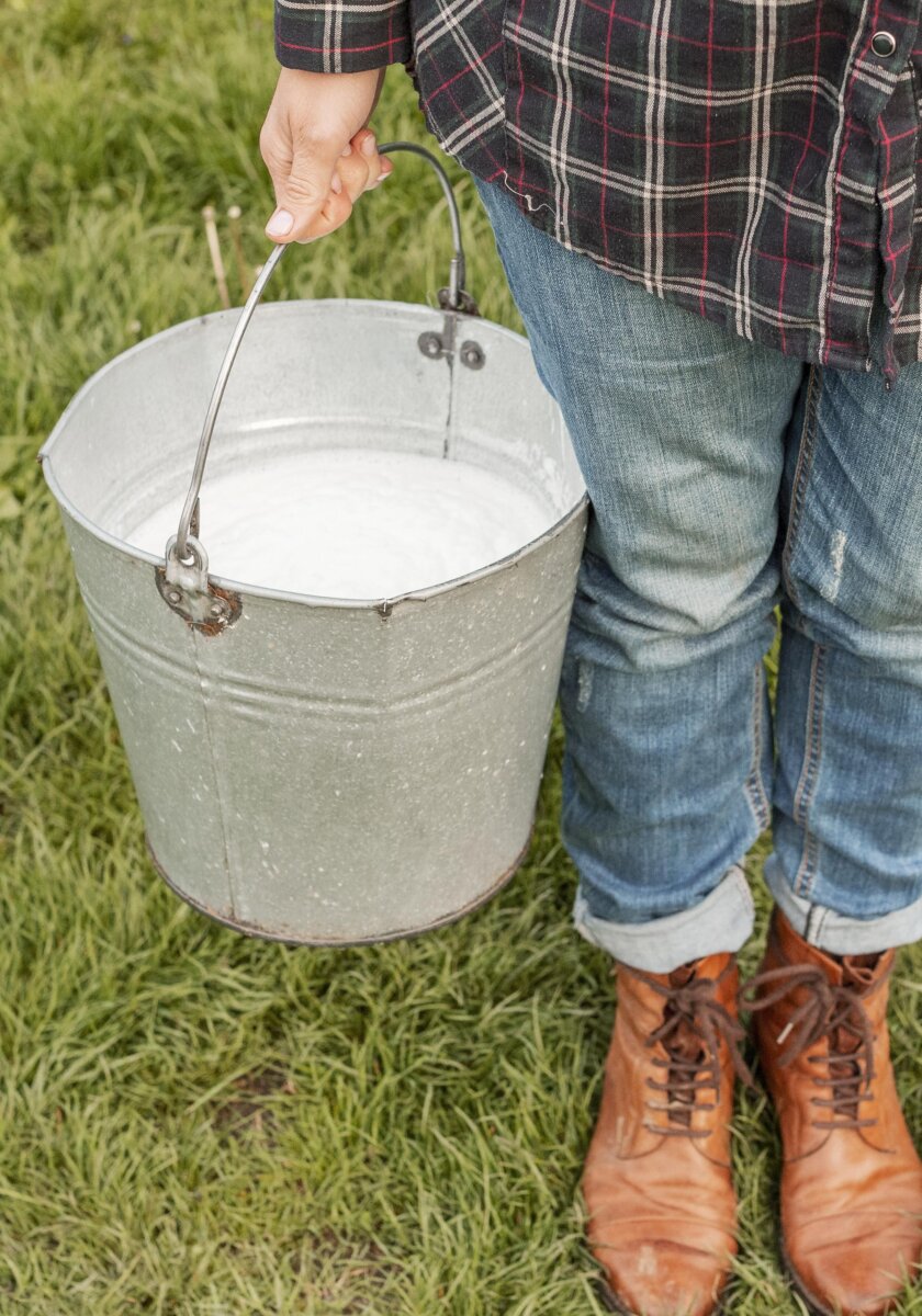 Konfliktas baigėsi išlietu pienu ir į kaimynę paleistu kibiru