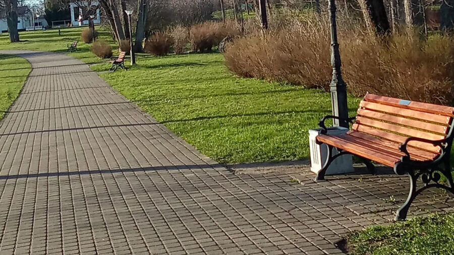 Ta­ry­ba ve­ja­si ini­cia­ty­vą. Ar­ba: kas svar­biau – var­di­niai suo­le­liai ar var­di­nės am­bi­ci­jos?