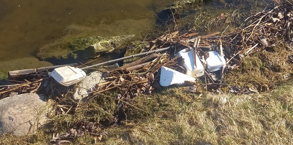 Nuo šiukšlių dūsta Masčio ežeras